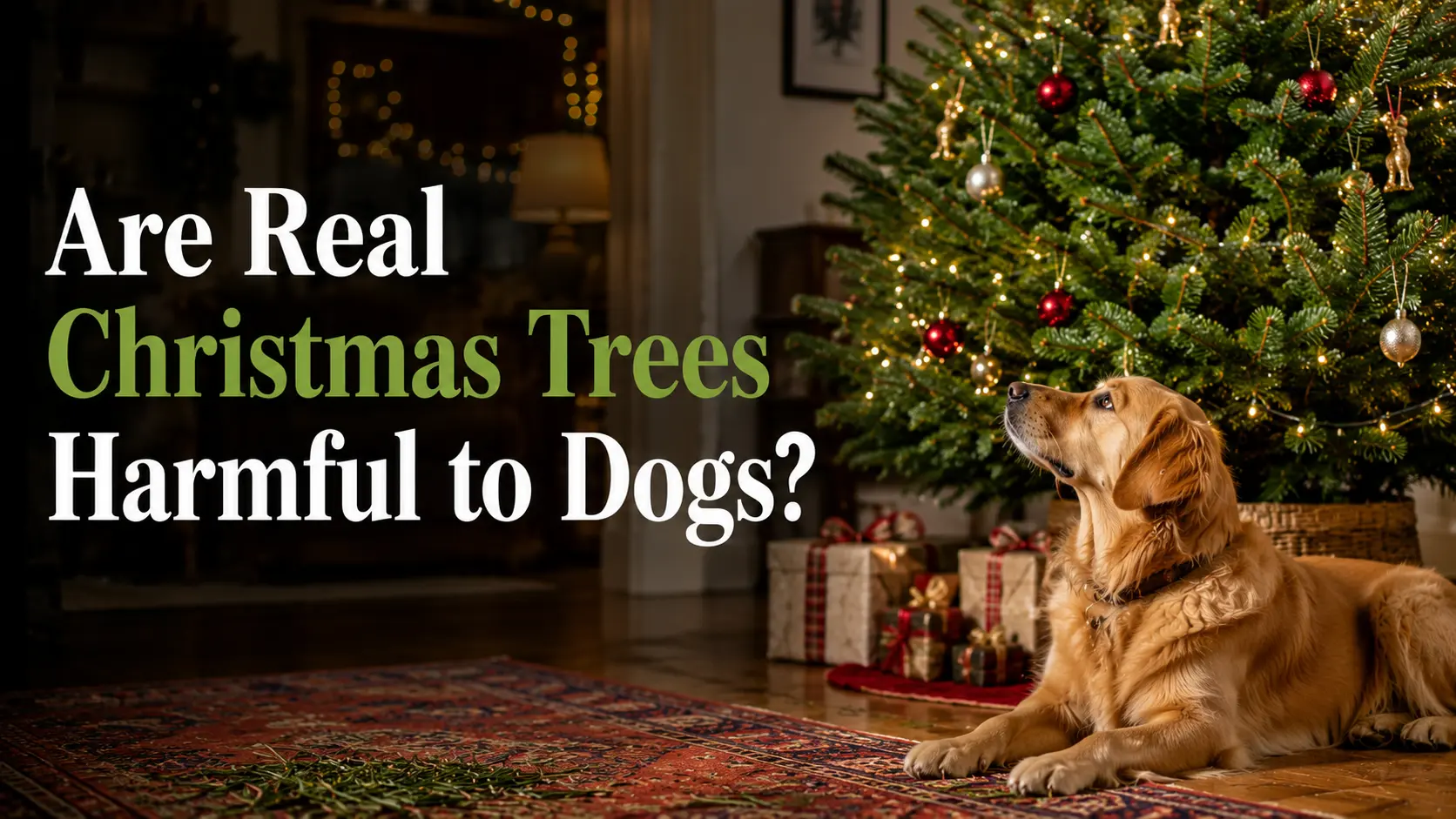 Are Real Christmas Trees Harmful to Dogs?